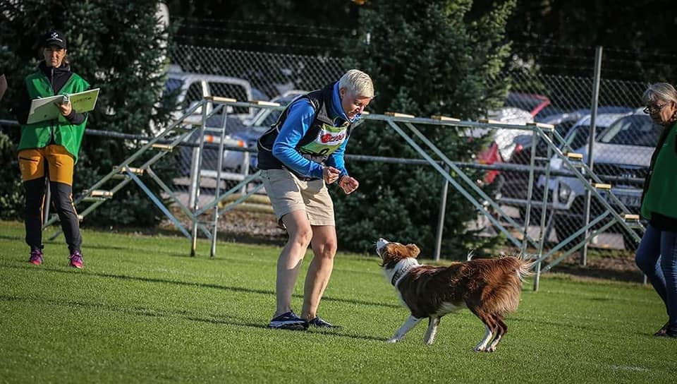 Läger i lydnad och bruks 2021!