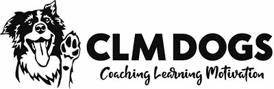 CLMDOGS, Coaching Learning Motivation